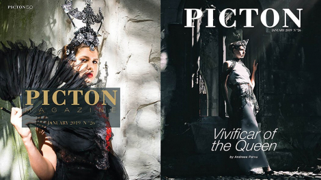 picton-it-ftr-img-upd